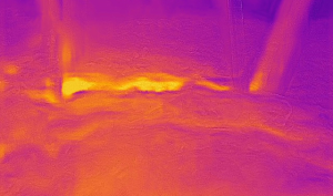 thermal picture